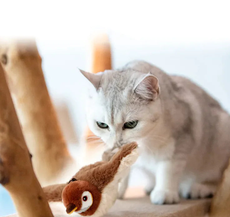 Floppy Bird Toy For Pets