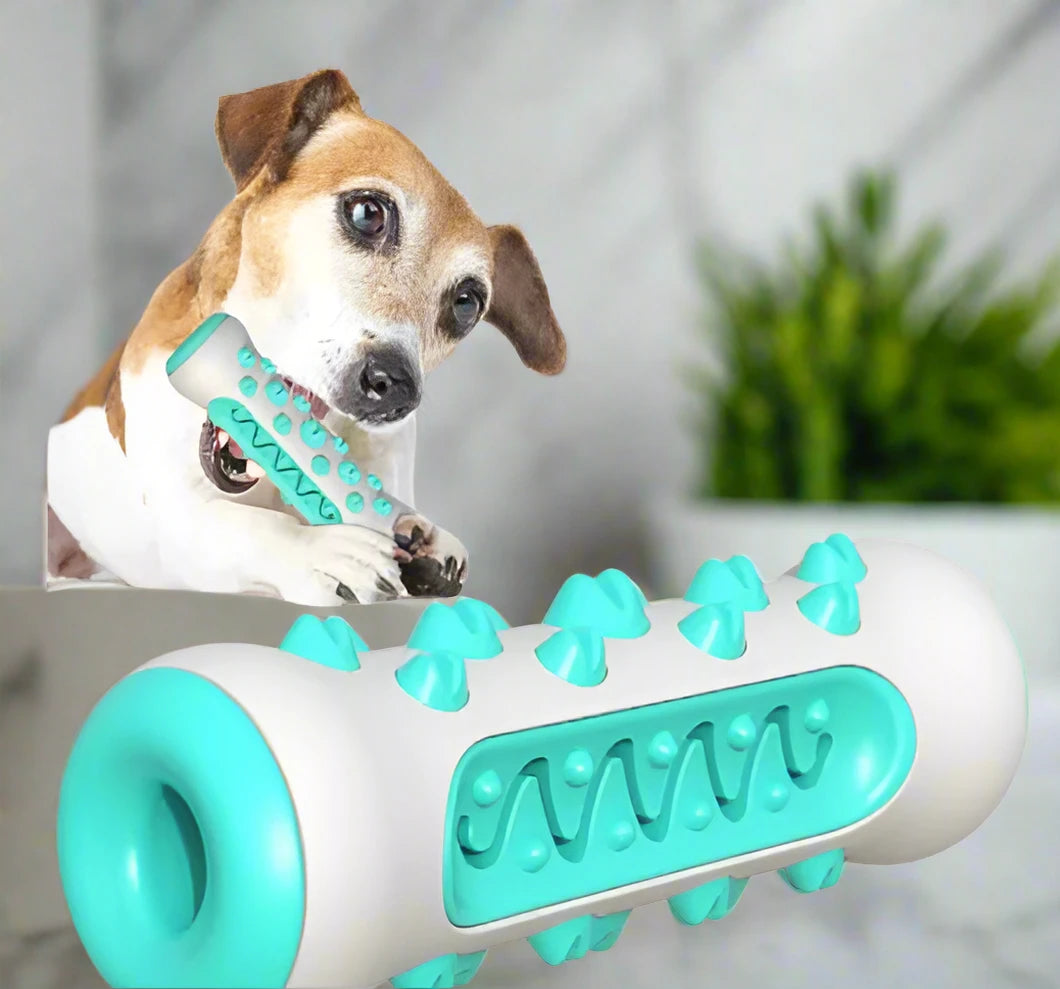 Pet Dog Chew Toy Molar Toothbrush