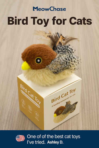 Auto-Bounce plush Bird Pet Toy