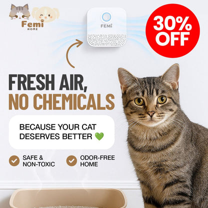 Pineapple Femi™ Smart Deodorizer