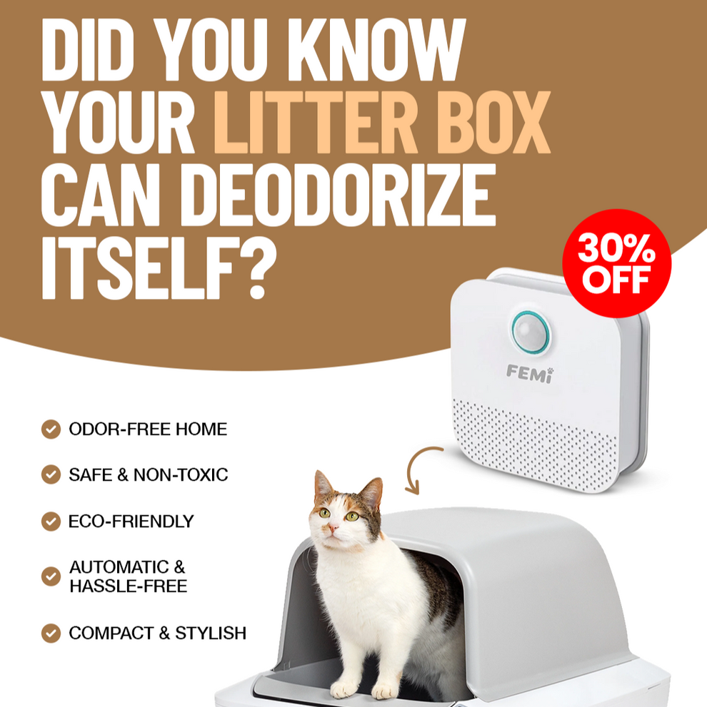 Pineapple Femi™ Smart Deodorizer