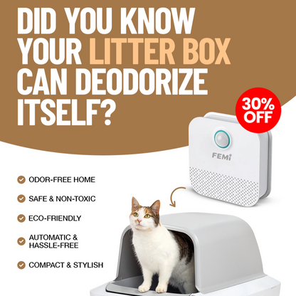 Pineapple Femi™ Smart Deodorizer