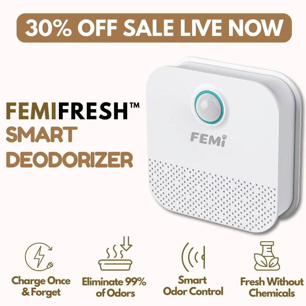 Pineapple Femi™ Smart Deodorizer