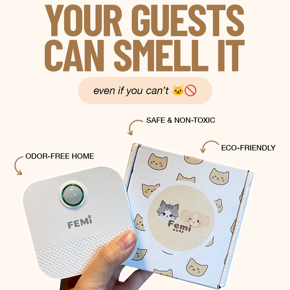 Pineapple Femi™ Smart Deodorizer