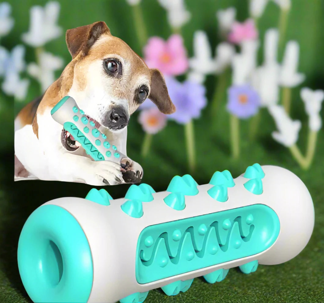 Pet Dog Chew Toy Molar Toothbrush