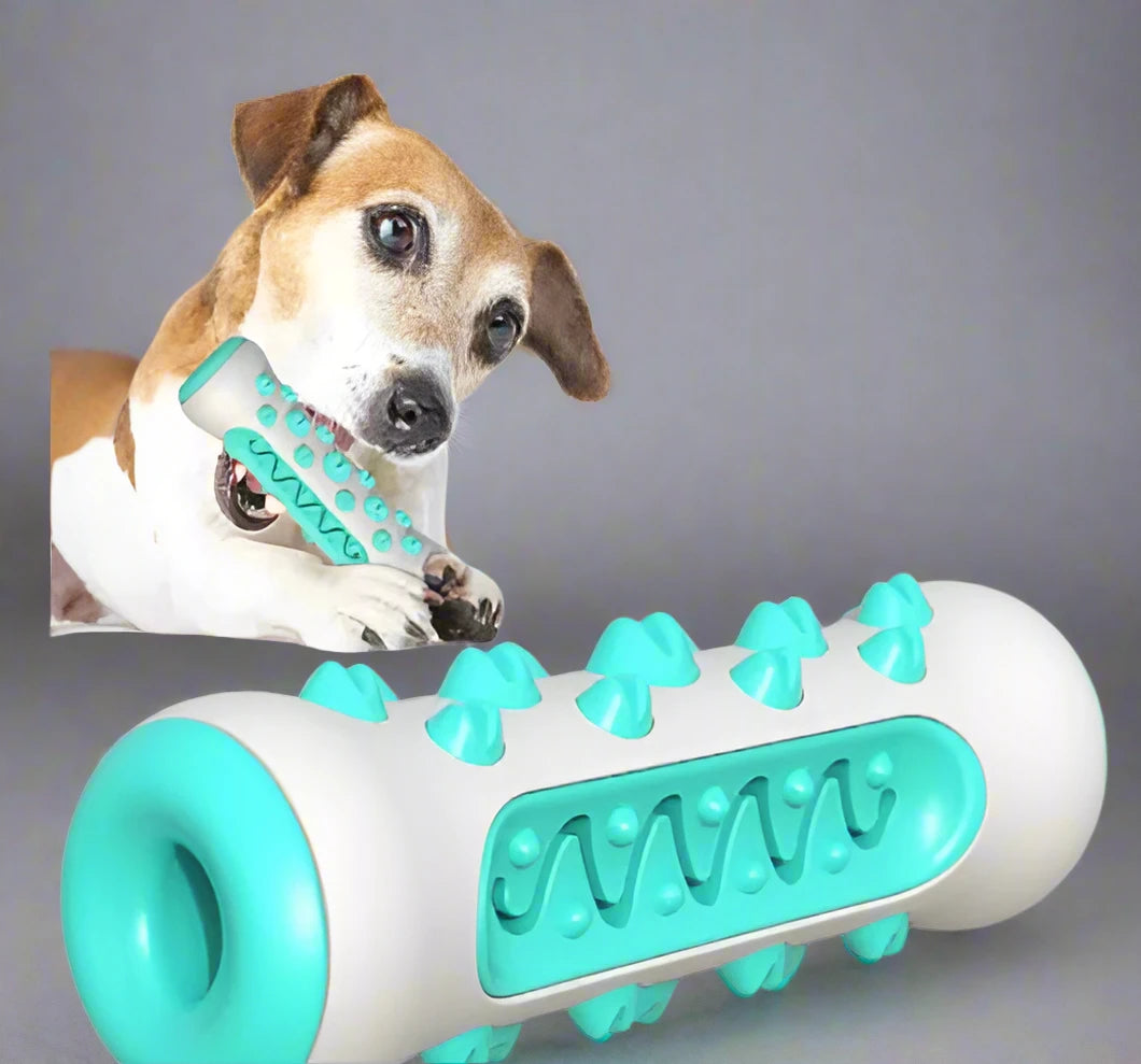 Pet Dog Chew Toy Molar Toothbrush