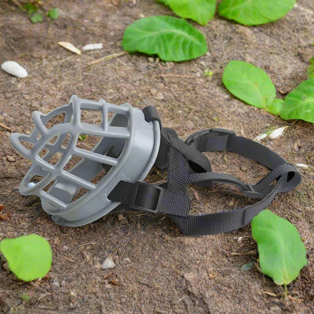 Anti-Bite Silicone Dog Muzzle