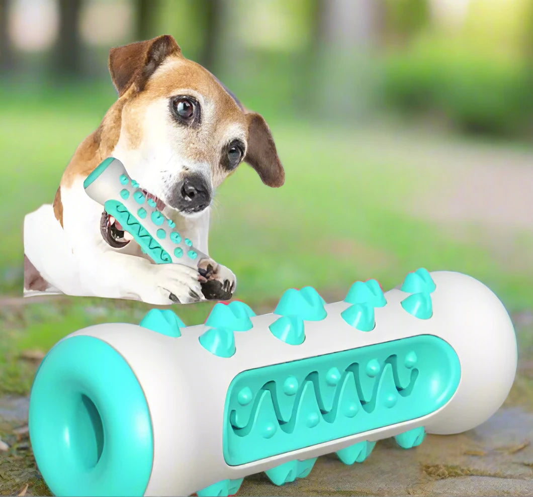 Pet Dog Chew Toy Molar Toothbrush