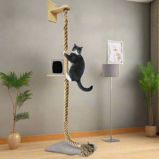 Cat Scratching Posts