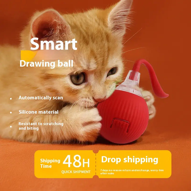Interactive Cat Ball Toy