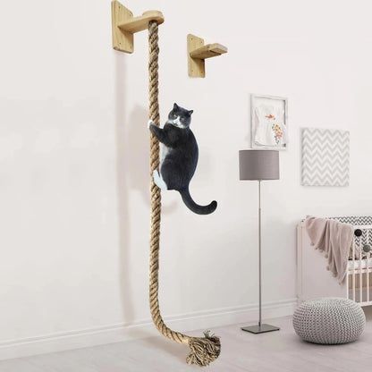 Cat Scratching Posts