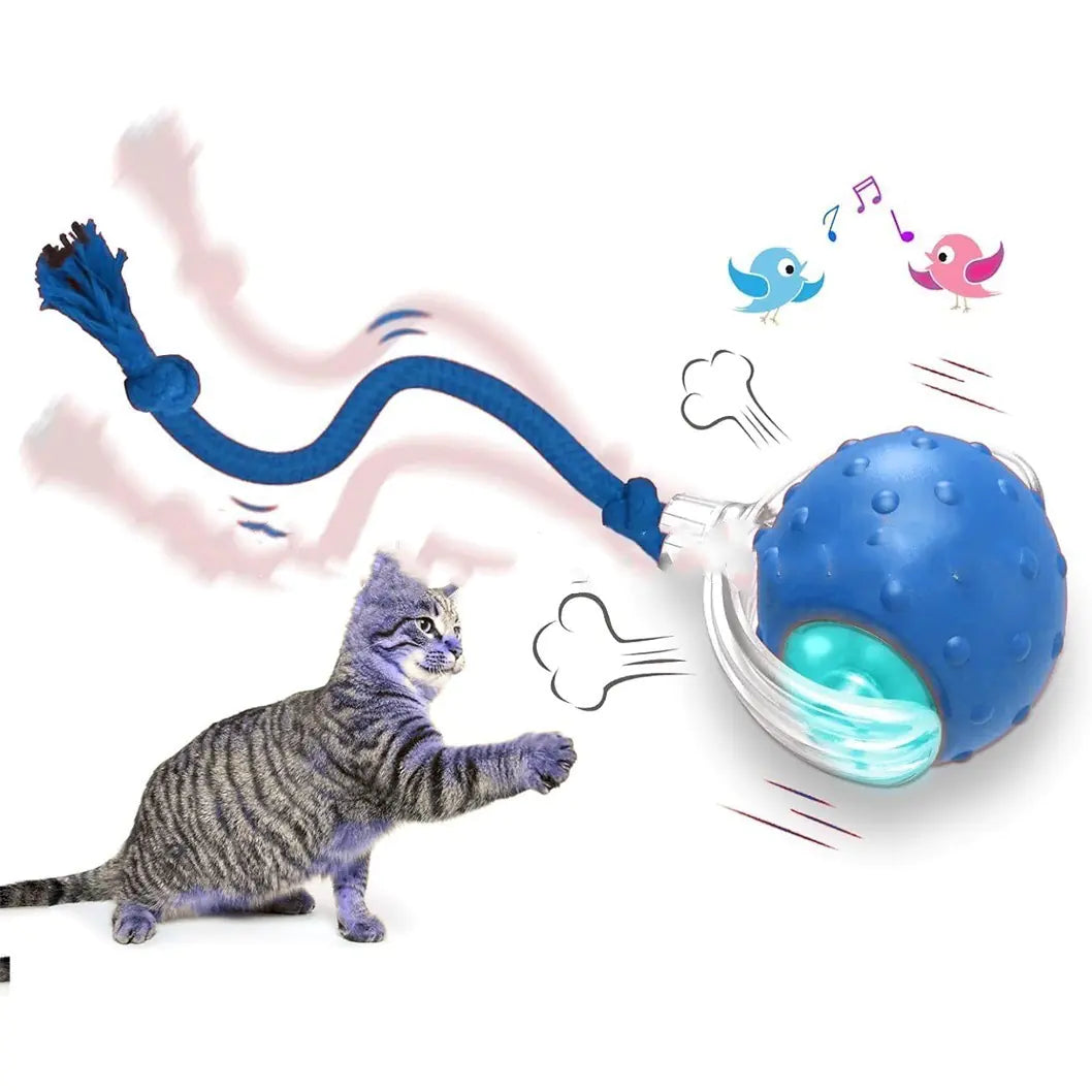 Interactive Cat Ball Toy