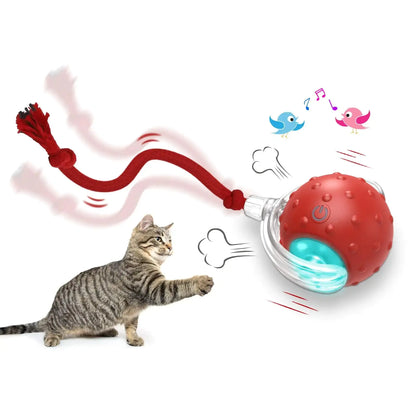 Interactive Cat Ball Toy