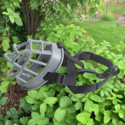 Anti-Bite Silicone Dog Muzzle